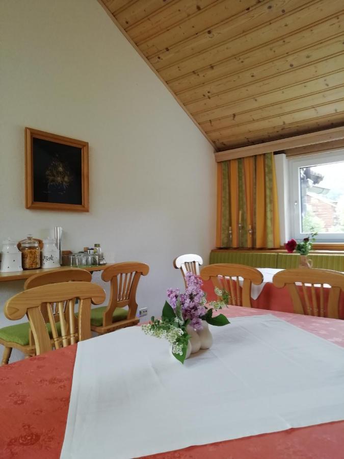 Pension Strauss St. Lorenzen ob Murau Zewnętrze zdjęcie