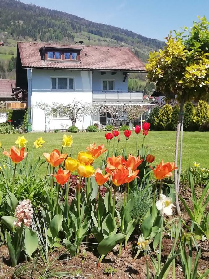 Pension Strauss St. Lorenzen ob Murau Zewnętrze zdjęcie